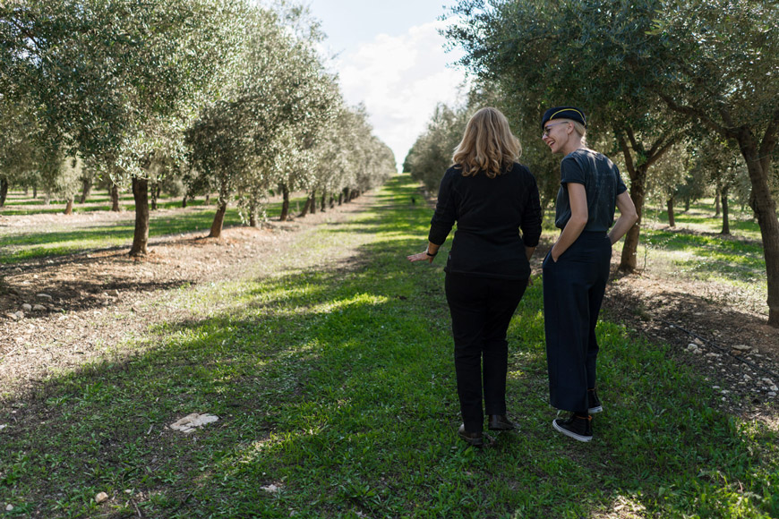 Aubocassa - el mejor aceite de oliva de Mallorca 
