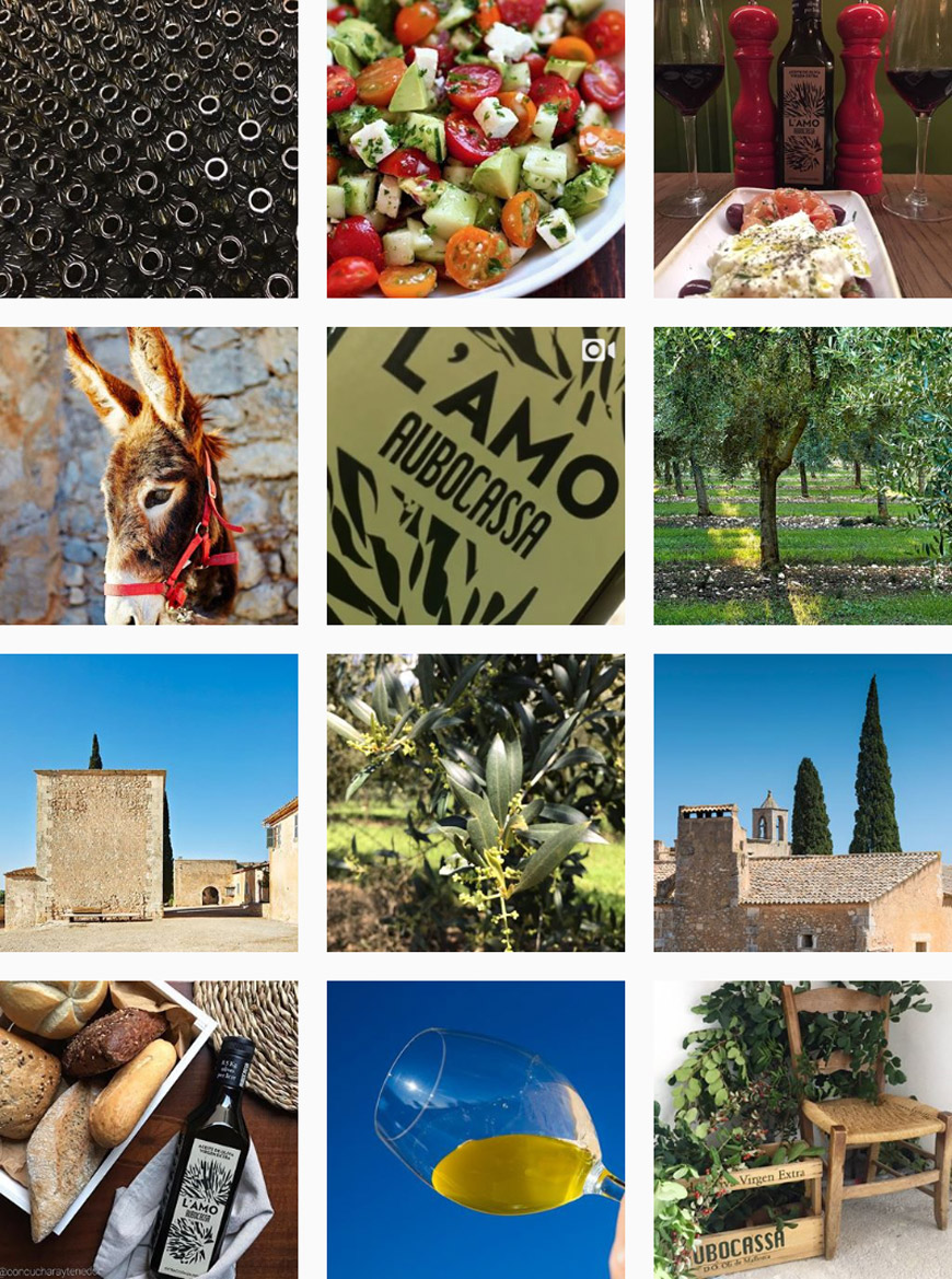 Aubocassa olive oil from Mallorca on Instagram
